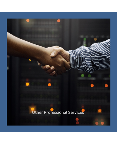 other professional services